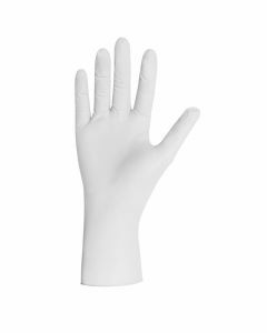 L’Oréal Generic Gloves L 100st